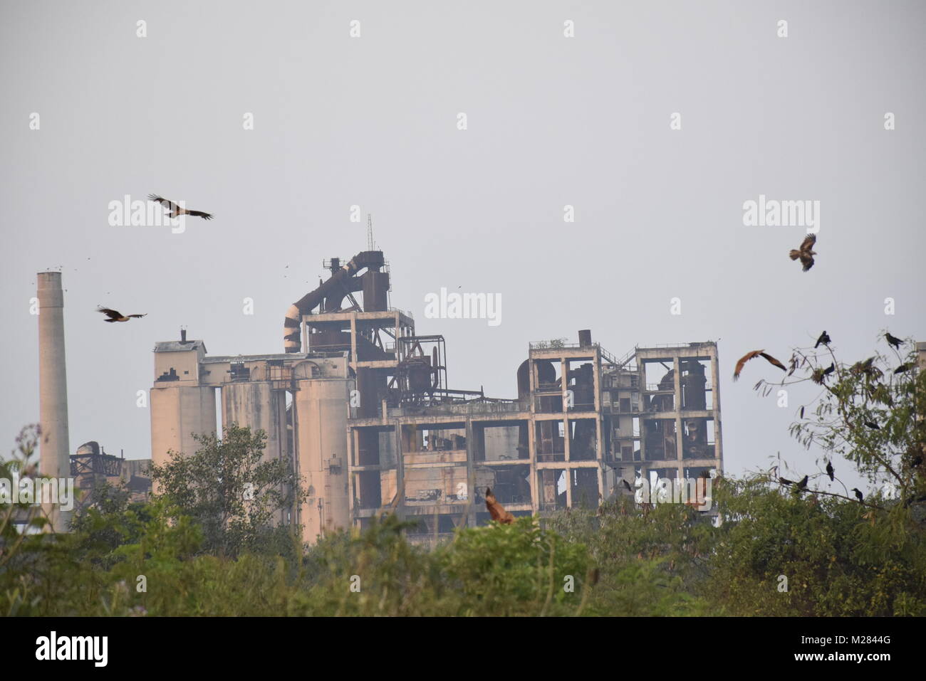 cement factory, sri lanka Stock Photo Alamy