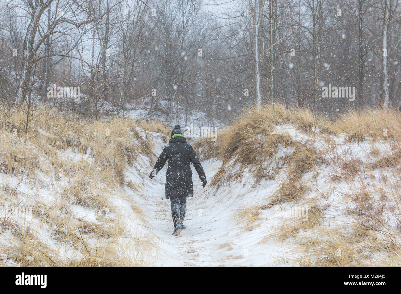 Woman in black winter jacket and hat walking through snow covered sand dunes along Lake Michigan in a winter snow storm Stock Photo