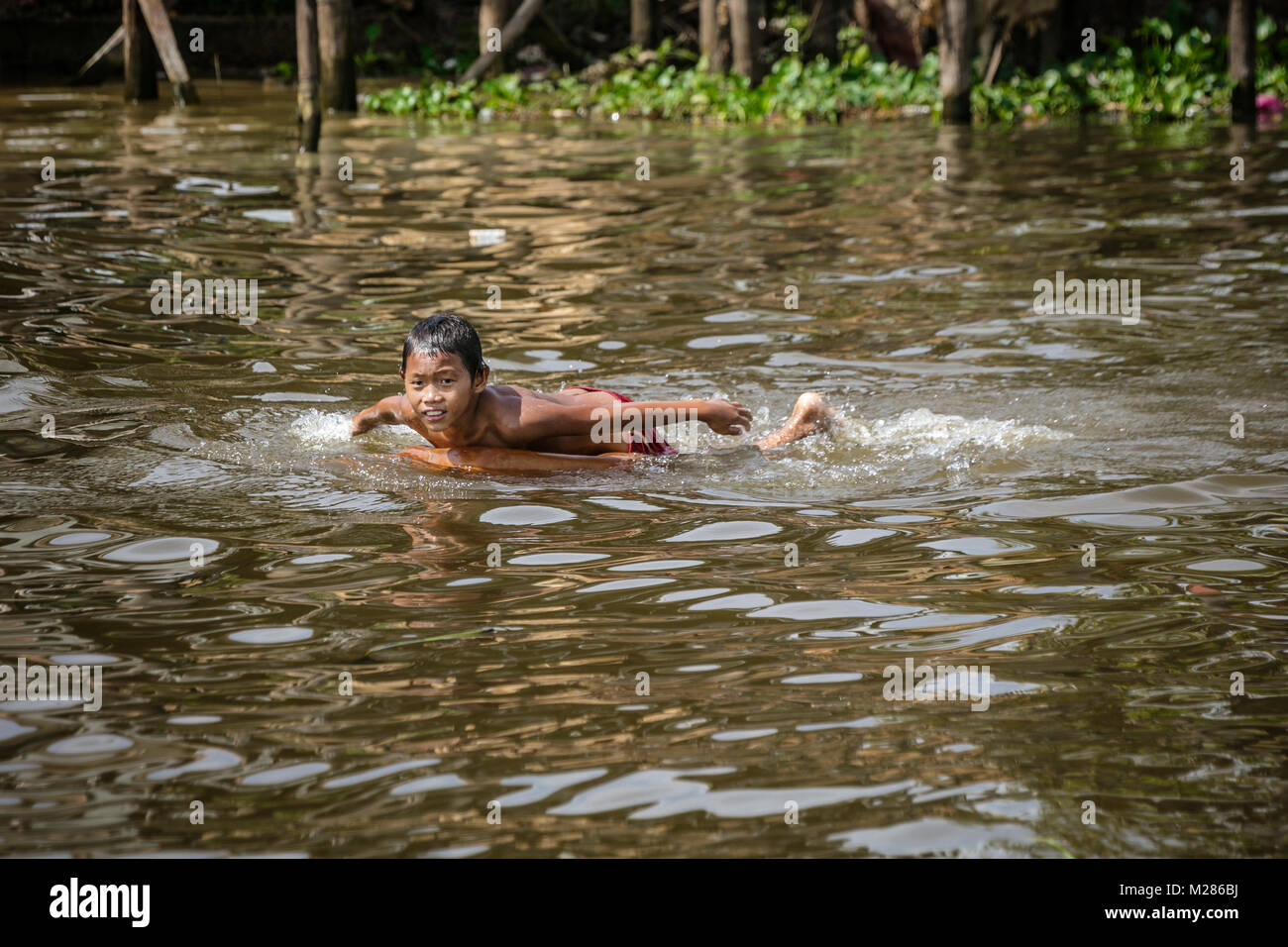Asian Boy Swimming High Resolution Stock Photography and ...