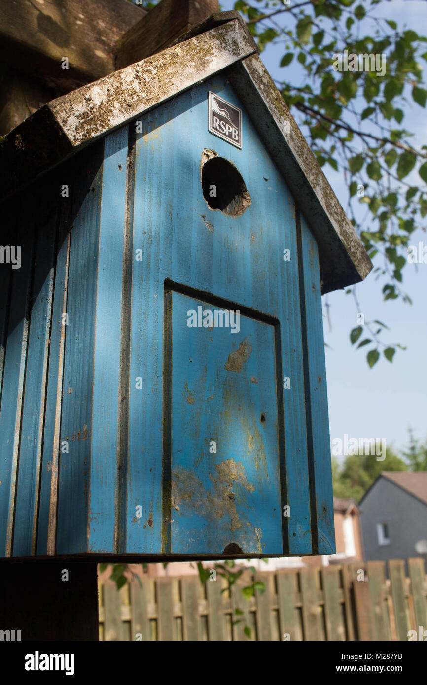 urban bird box Stock Photo Alamy