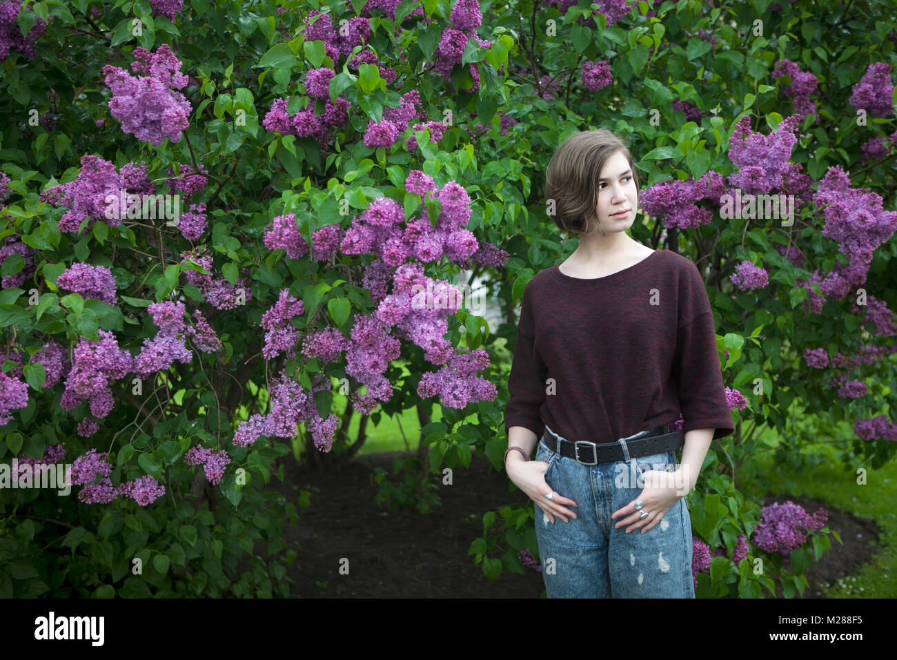 Pensive girl posing in lilac bushes in the park Stock Photo