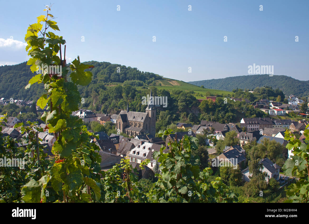 The wine village Dhron part of Neumagen-Dhron, Moselle river, Rhineland-Palatinate, Germany, Europe Stock Photo