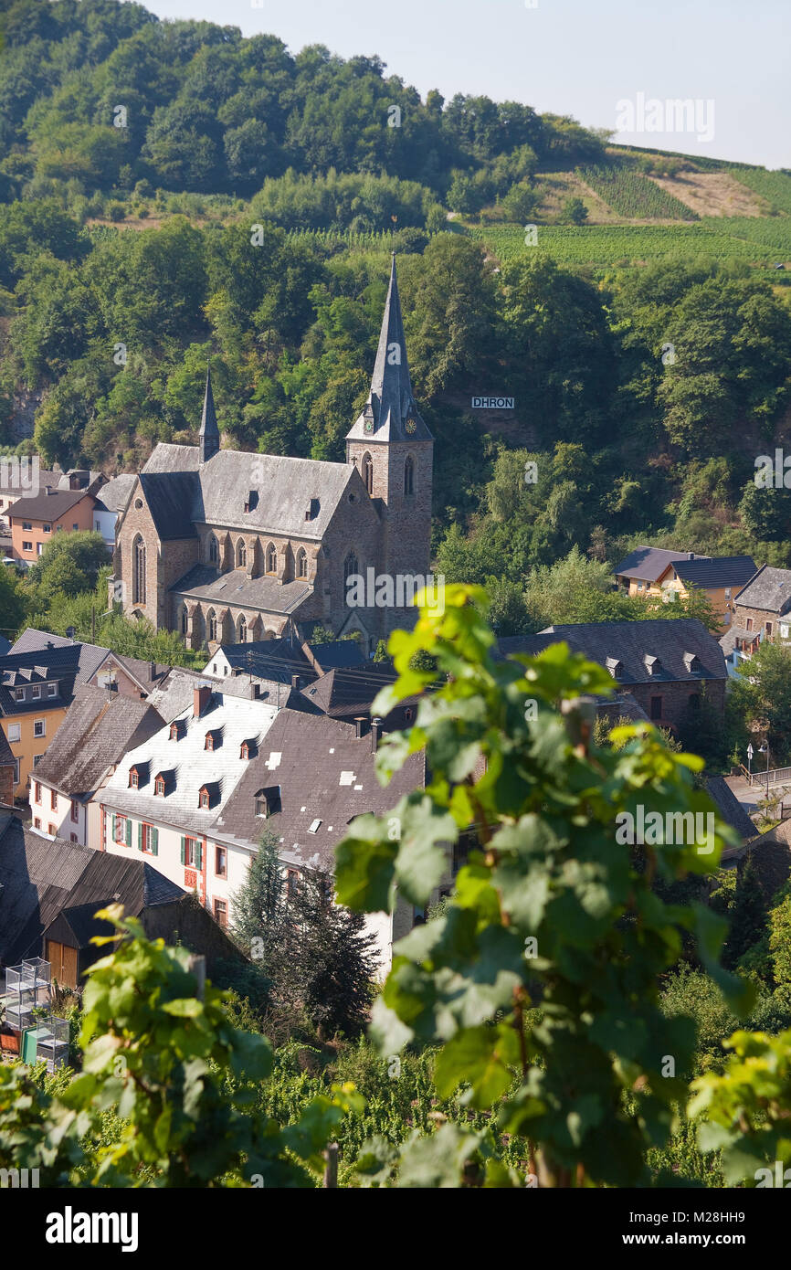 The wine village Dhron part of Neumagen-Dhron, Moselle river, Rhineland-Palatinate, Germany, Europe Stock Photo