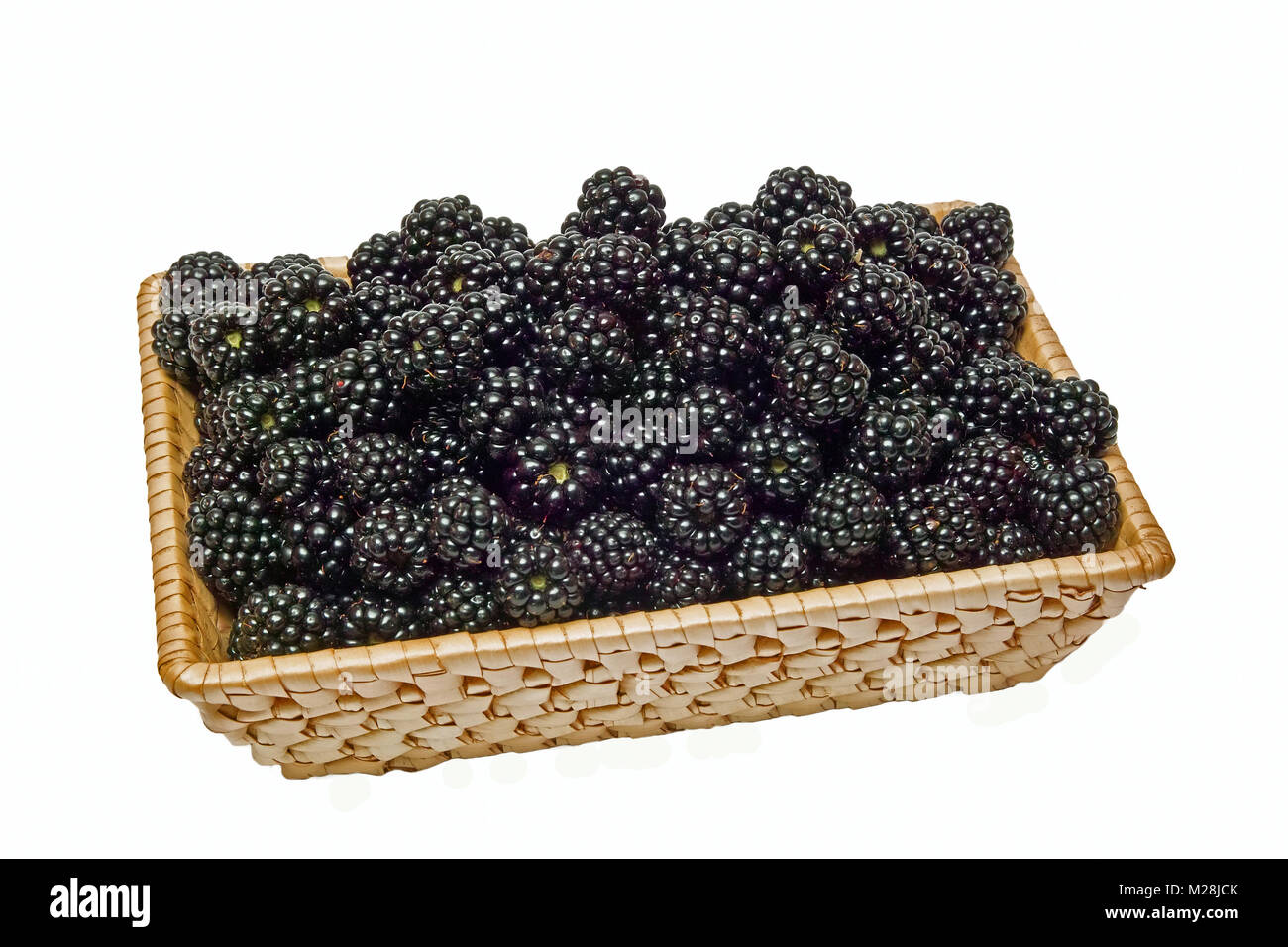 Thorns of blackberries Cut Out Stock Images & Pictures Alamy