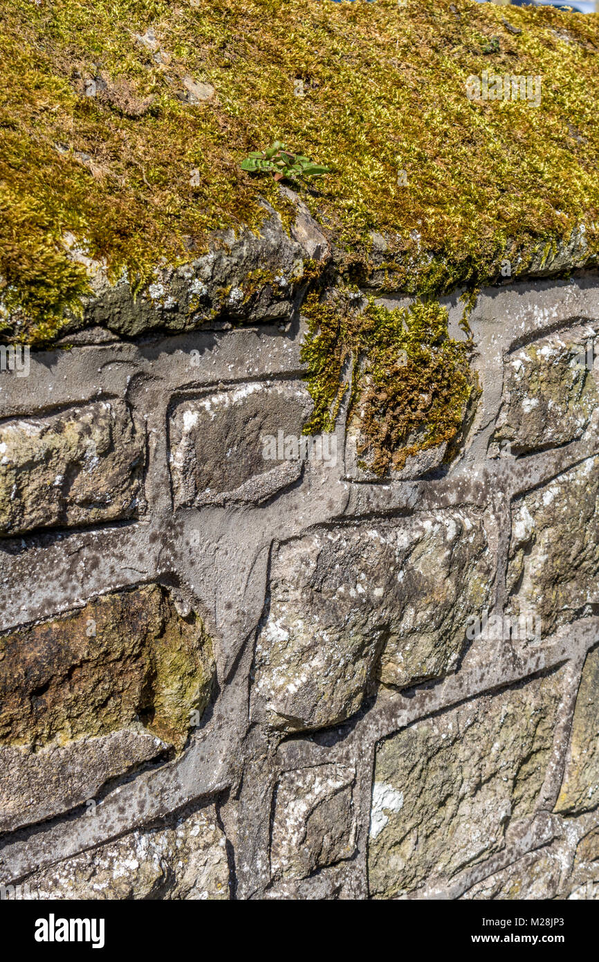Moss growing on a stone wall hi-res stock photography and images - Alamy