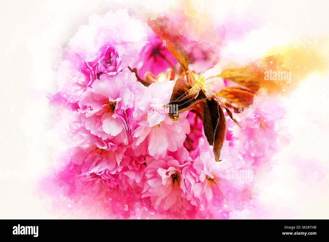 Pink Sakura flower blooming, softly blurred watercolor background Stock ...