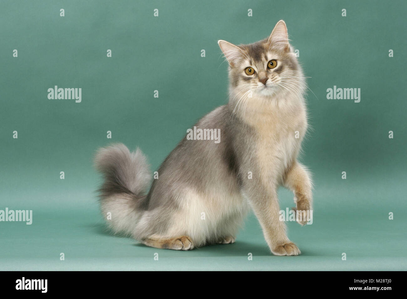 6wjysz7eckeuum 6wjysz7eckeuum