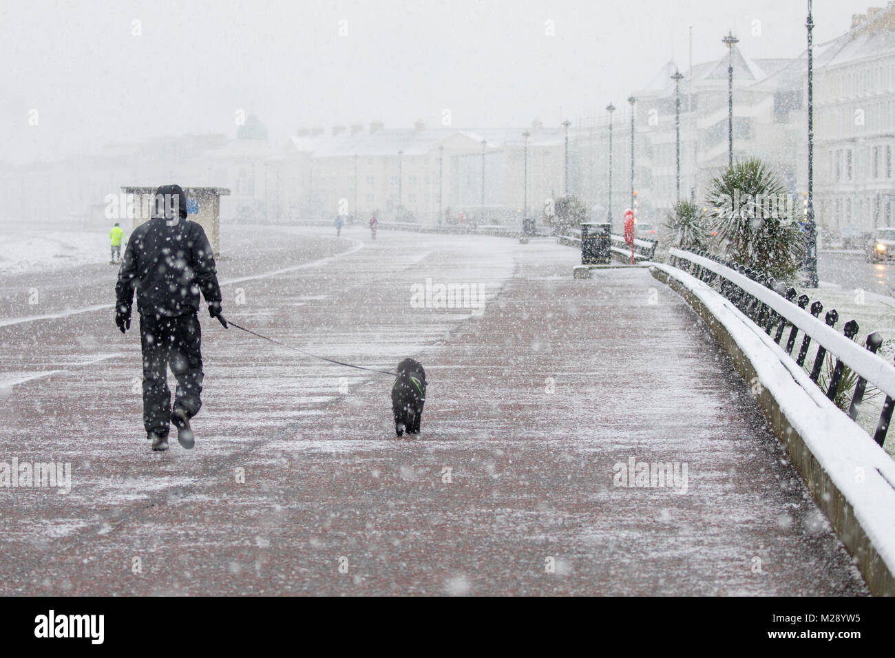 A person dog walking along the seaside promenade of Llandudno in heavy snowfall with hood up and dog on lead, North Wales, UK Stock Photo