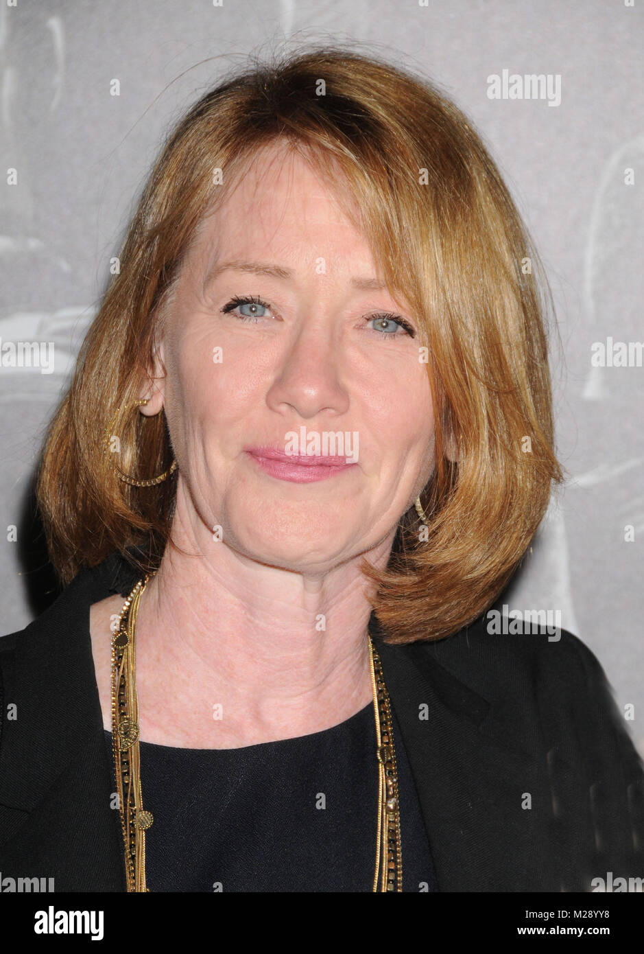 Ann cusack hi res stock photography and images Alamy