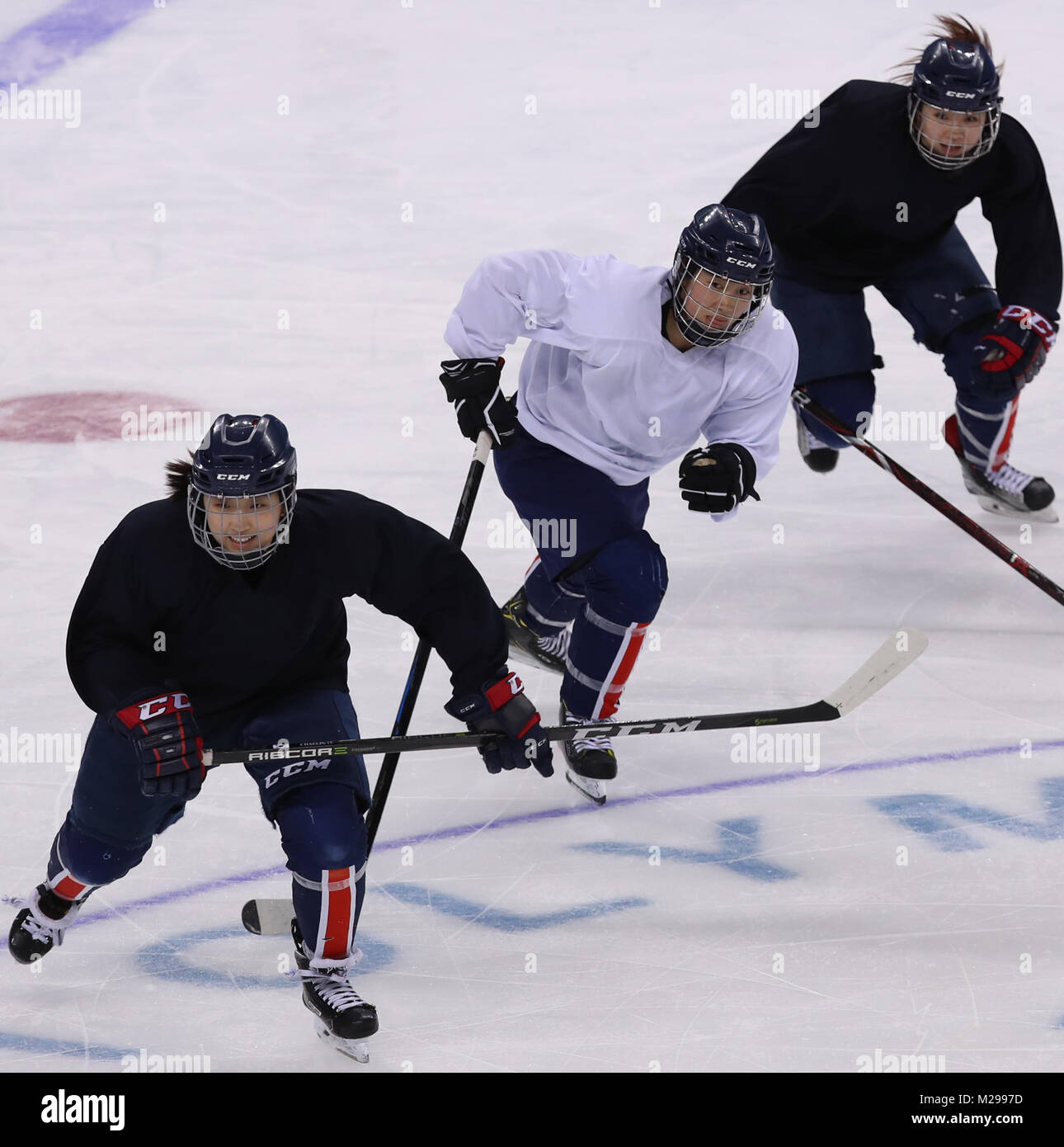 07th Feb 2018 Joint Korean Hockey Team Members Of The Joint Korean Hockey Team Practice At 