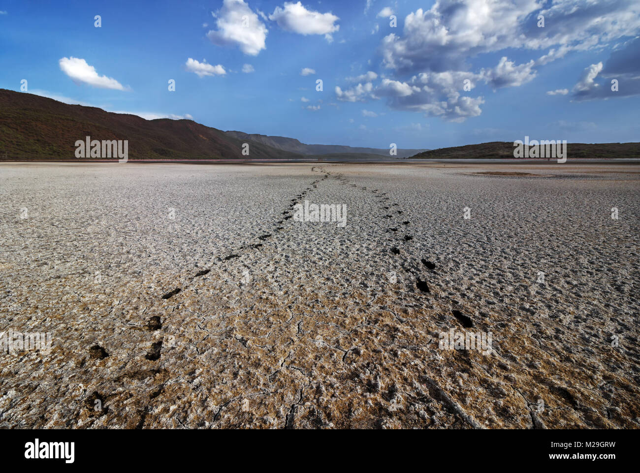 Footprints on a dry part of Lake Bogoria Kenya Stock Photo Alamy
