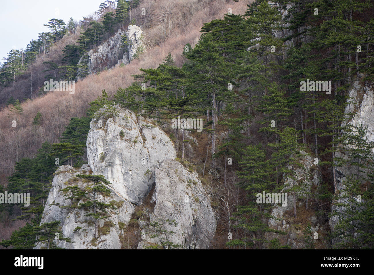Cerna mountains hi-res stock photography and images - Alamy