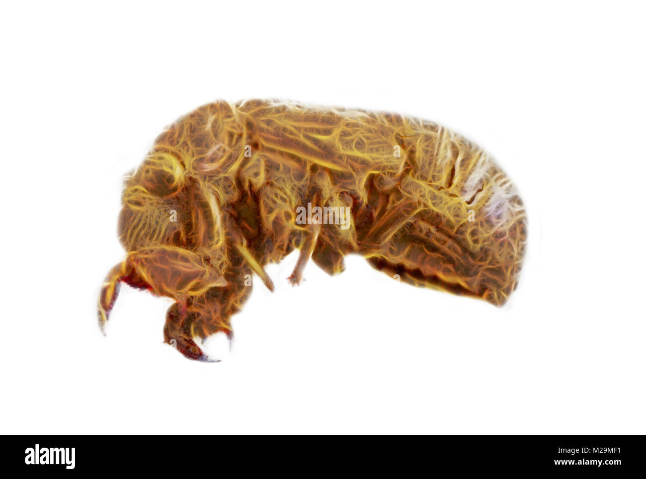 Computer vandalism Cut Out Stock Images & Pictures Alamy