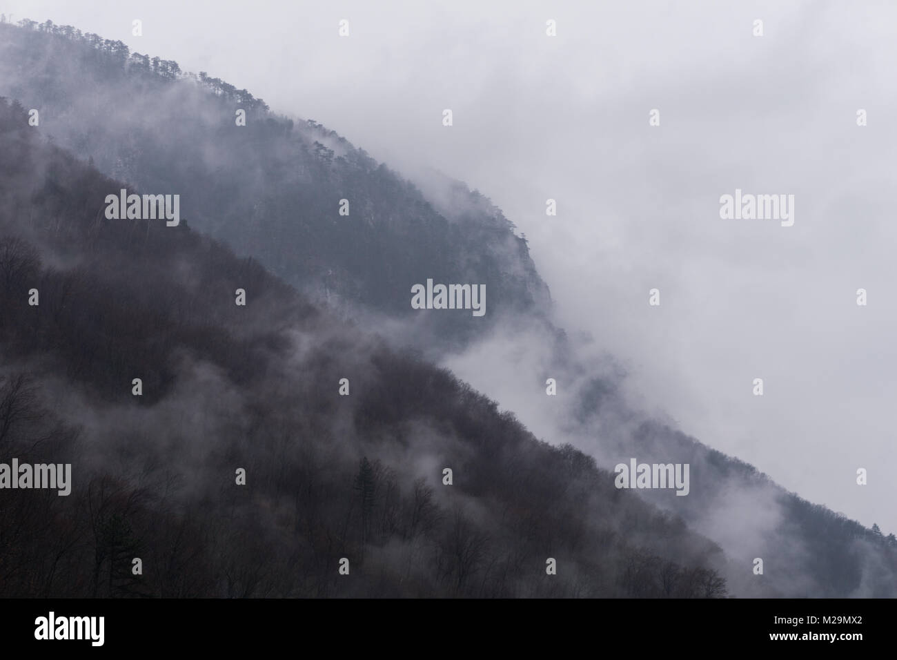Mist rising from forest hills hi-res stock photography and images - Alamy