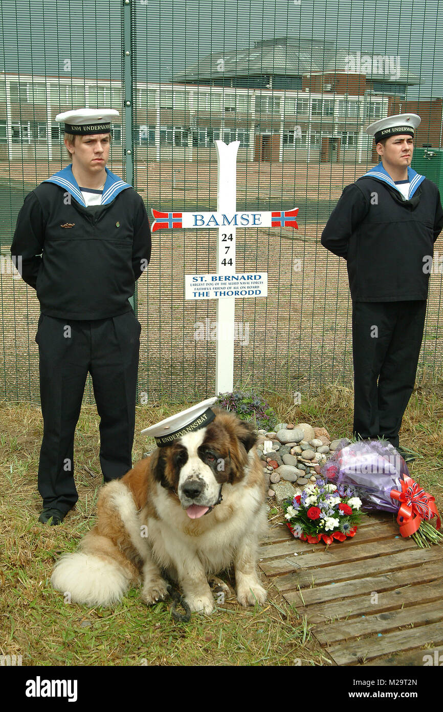 Norwegian Navy pictured at the graveside of Bamse, Montrose, Angus, Scotland. The St. Bernard was a heroic mascot during World War II. Stock Photo