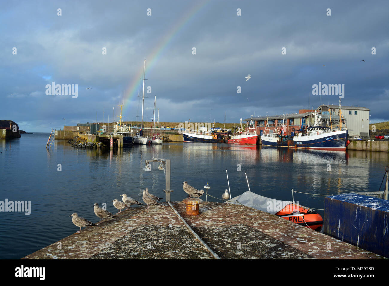 Fishing Boats at Eyemouth Harbour Stock Photo Alamy