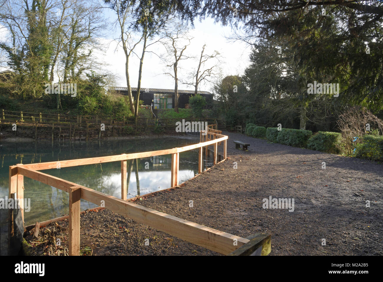 Silent Pool near Guildford Surrey invasive weed cleared Stock Photo