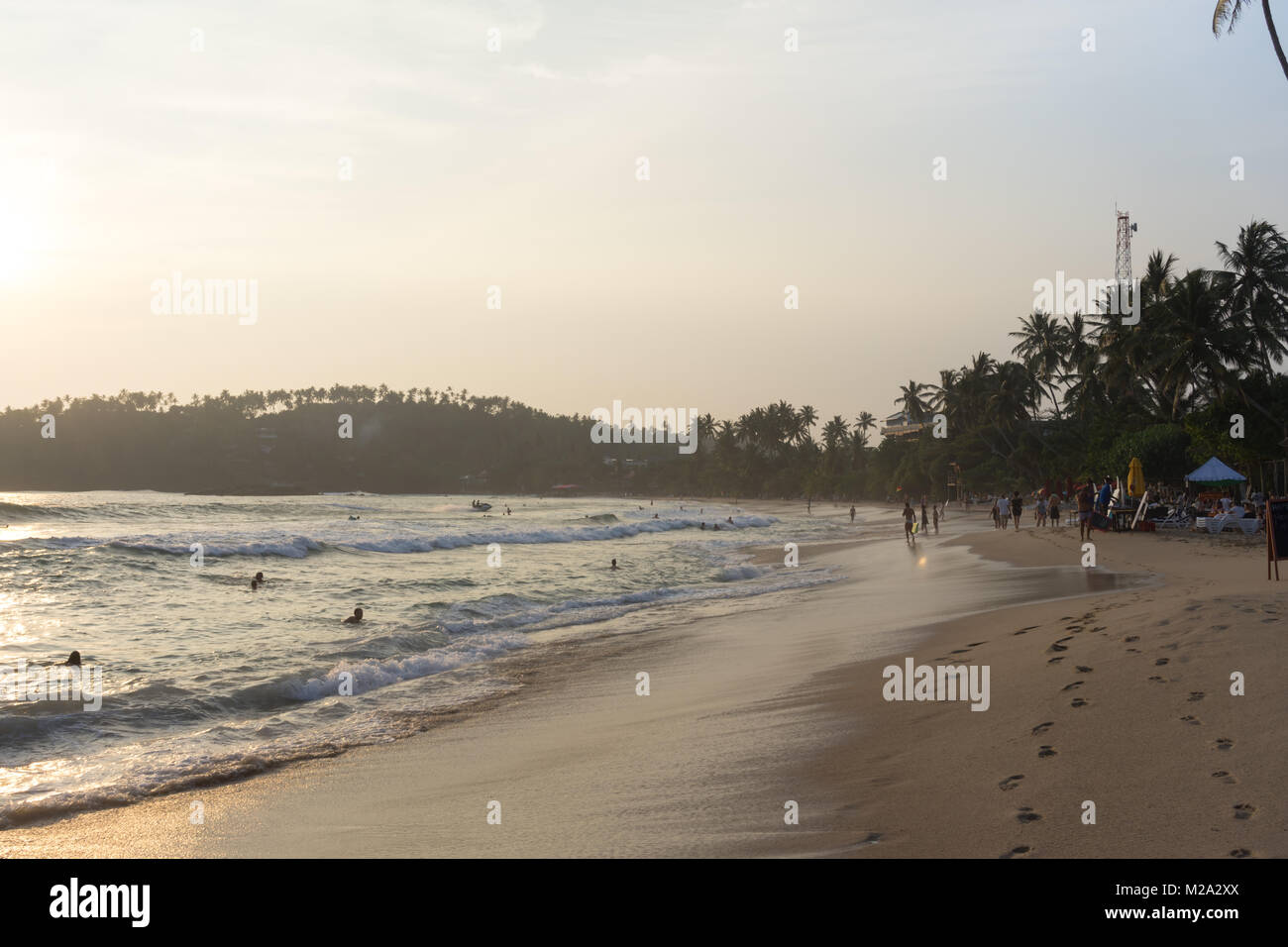 mirissa-beach-on-the-south-coast-of-sri-lanka-asia-stock-photo-alamy