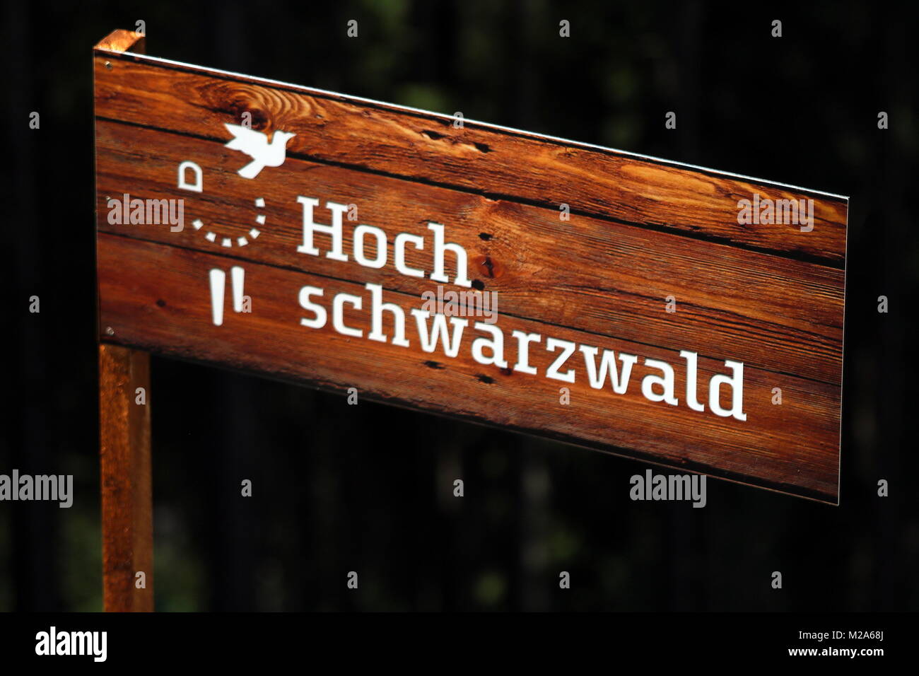 Stock options bei gmbh