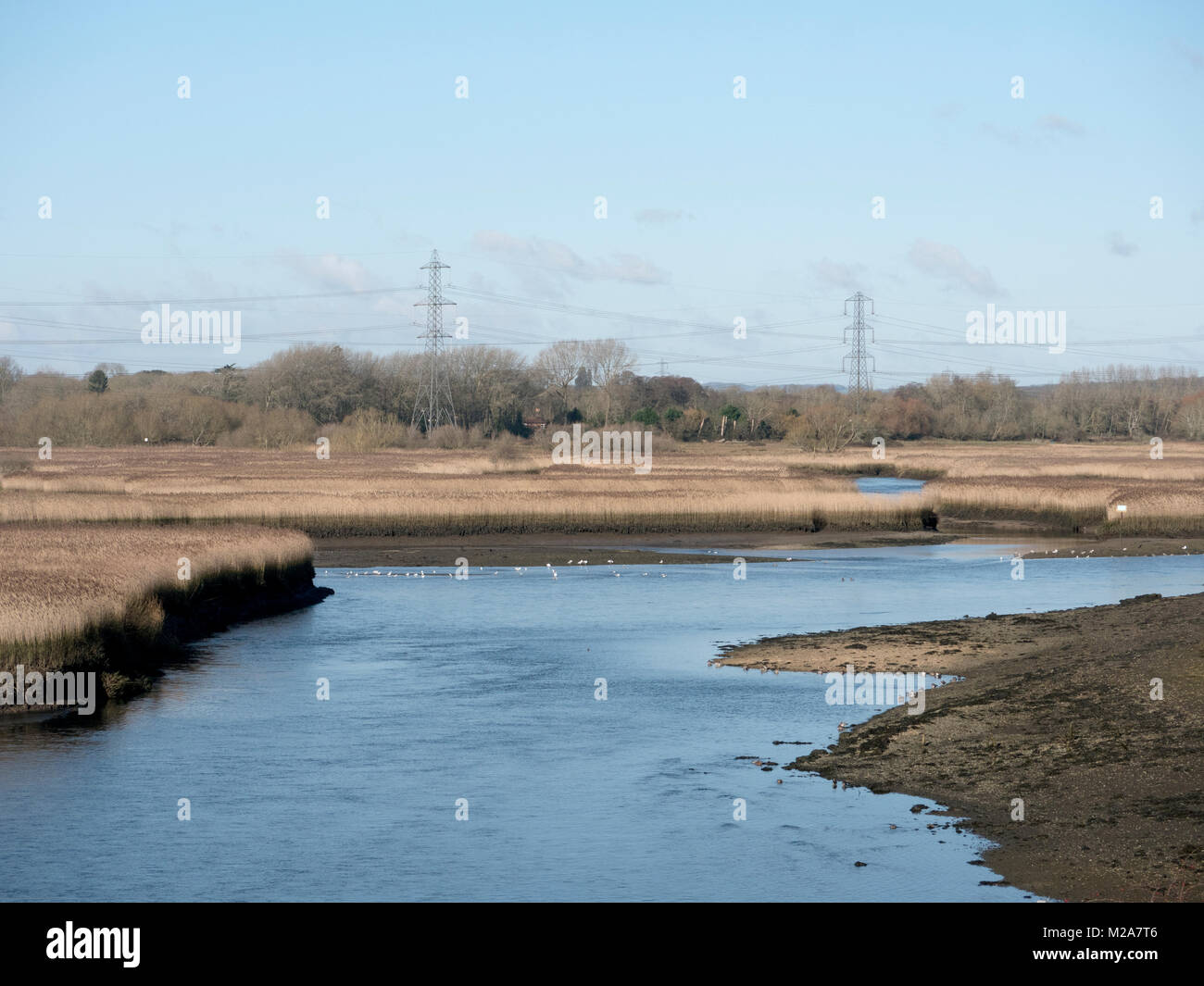 Test estuary tidal hi-res stock photography and images - Alamy