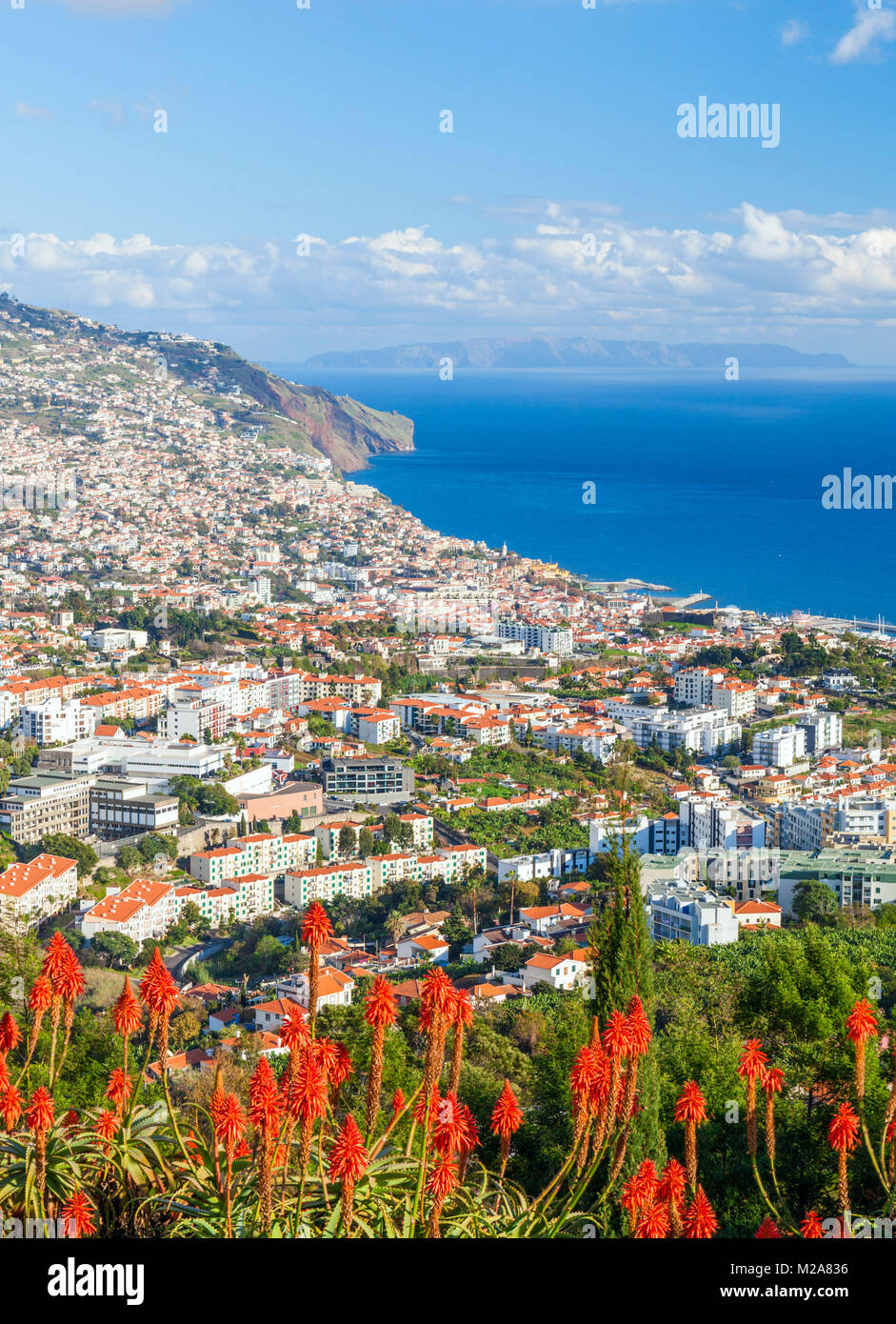 Bay Of The City Of Funchal Madeira Funchal High Resolution Stock