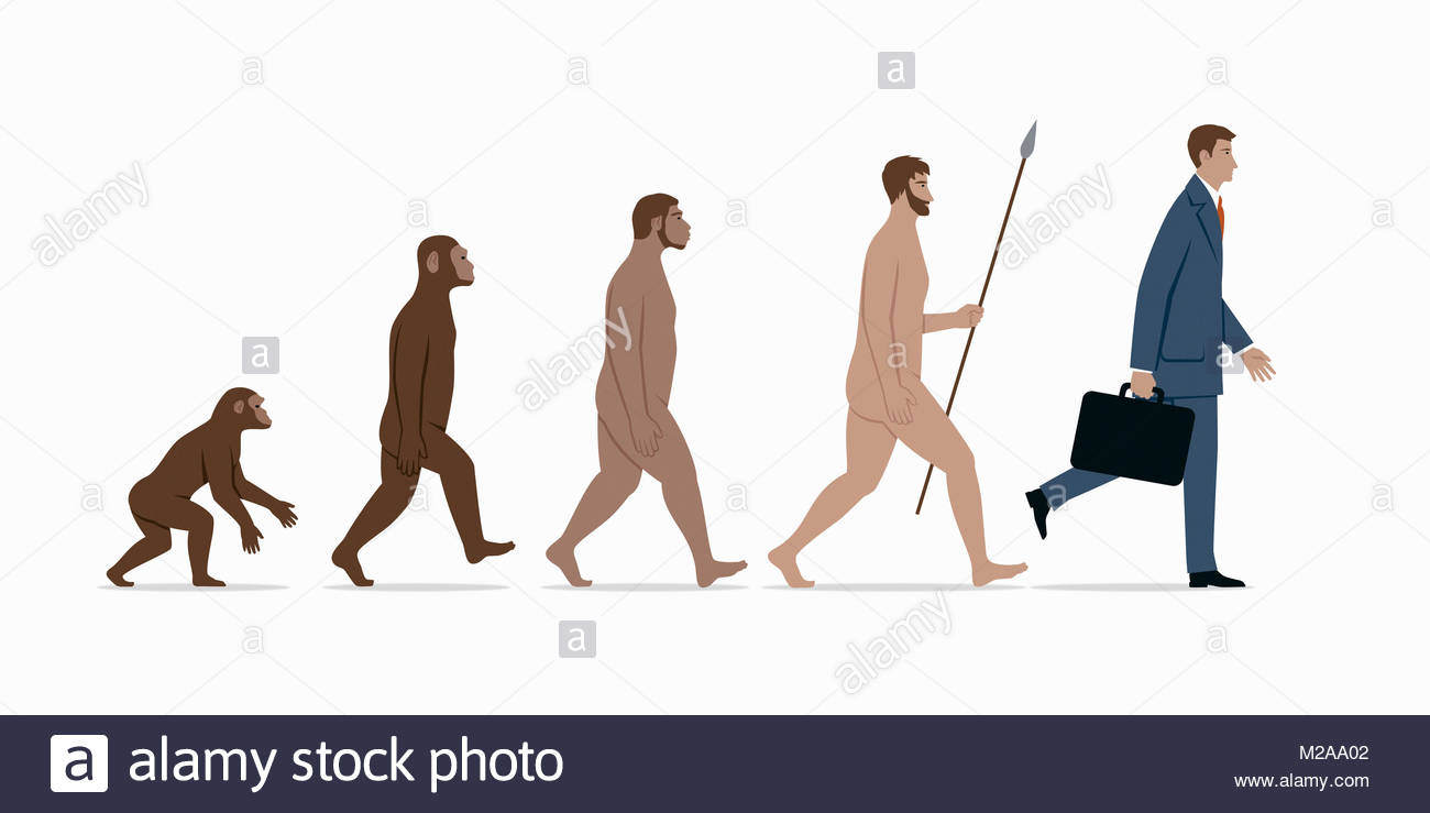 Evolution Stages Stock Photos & Evolution Stages Stock Images - Alamy