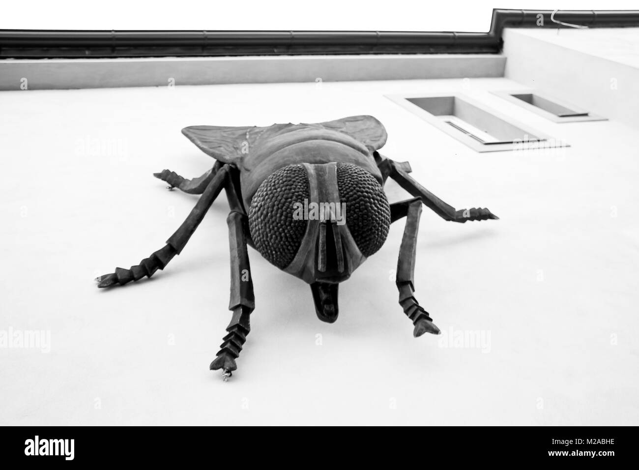 A big statue of the fly is standing on the wall of the house. Looking interesting from this perspective. Stock Photo