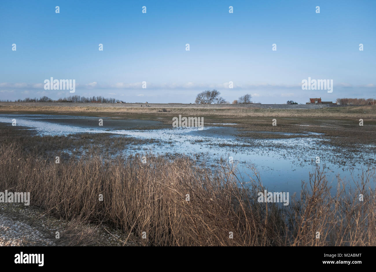 dutch nature with water and dike in zeeland with houses and blue sky Stock Photo