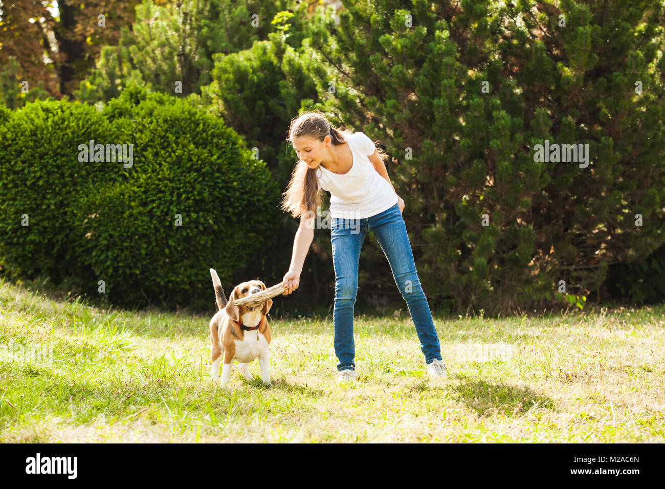 Girl plays with a dog in the yard Stock Photo - Alamy