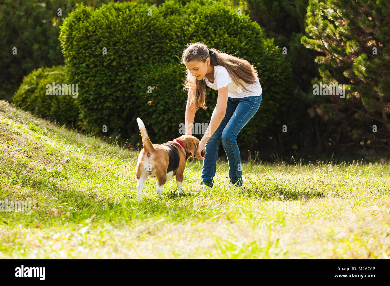 Girl plays with a dog in the yard Stock Photo - Alamy