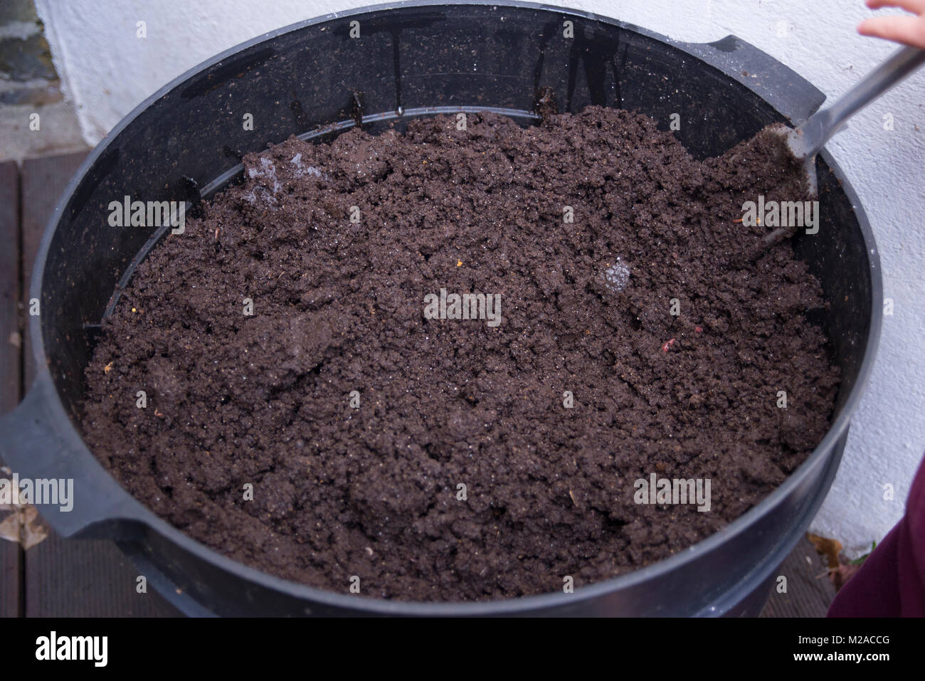 Bottom tray of a worm composter showing nutrient rich soil produced by worms Stock Photo