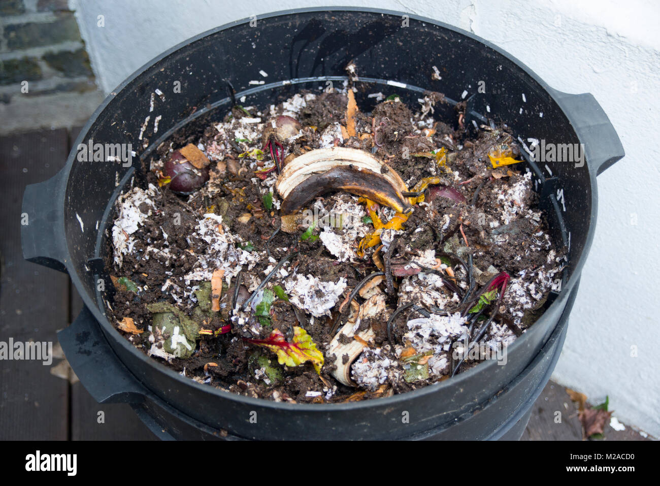 Top tray of a worm composter showing food scraps and shredded paper being consumed by worms Stock Photo