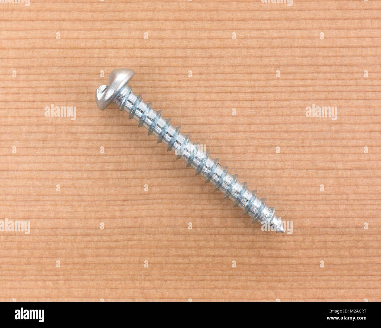 Top view of a round head tamper proof sheet metal screw on a western