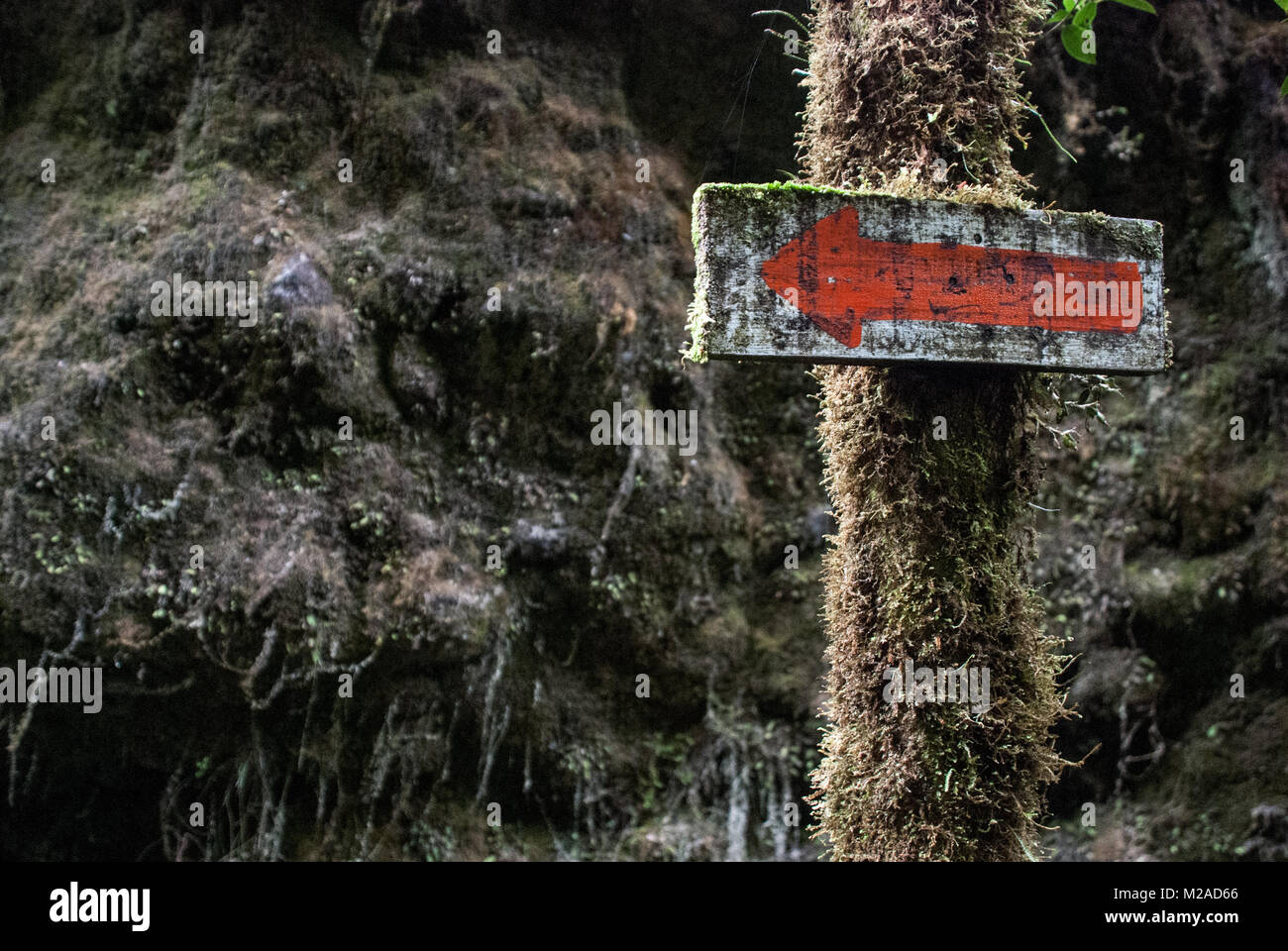 A moss-covered, weathered sign with a painted red arrow in the Colombian countryside Stock Photo