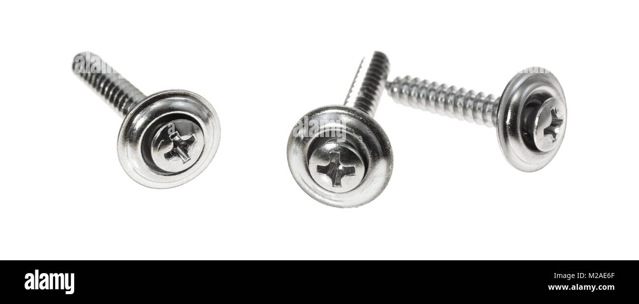 Three stainless steel trim head screws isolated on a white background