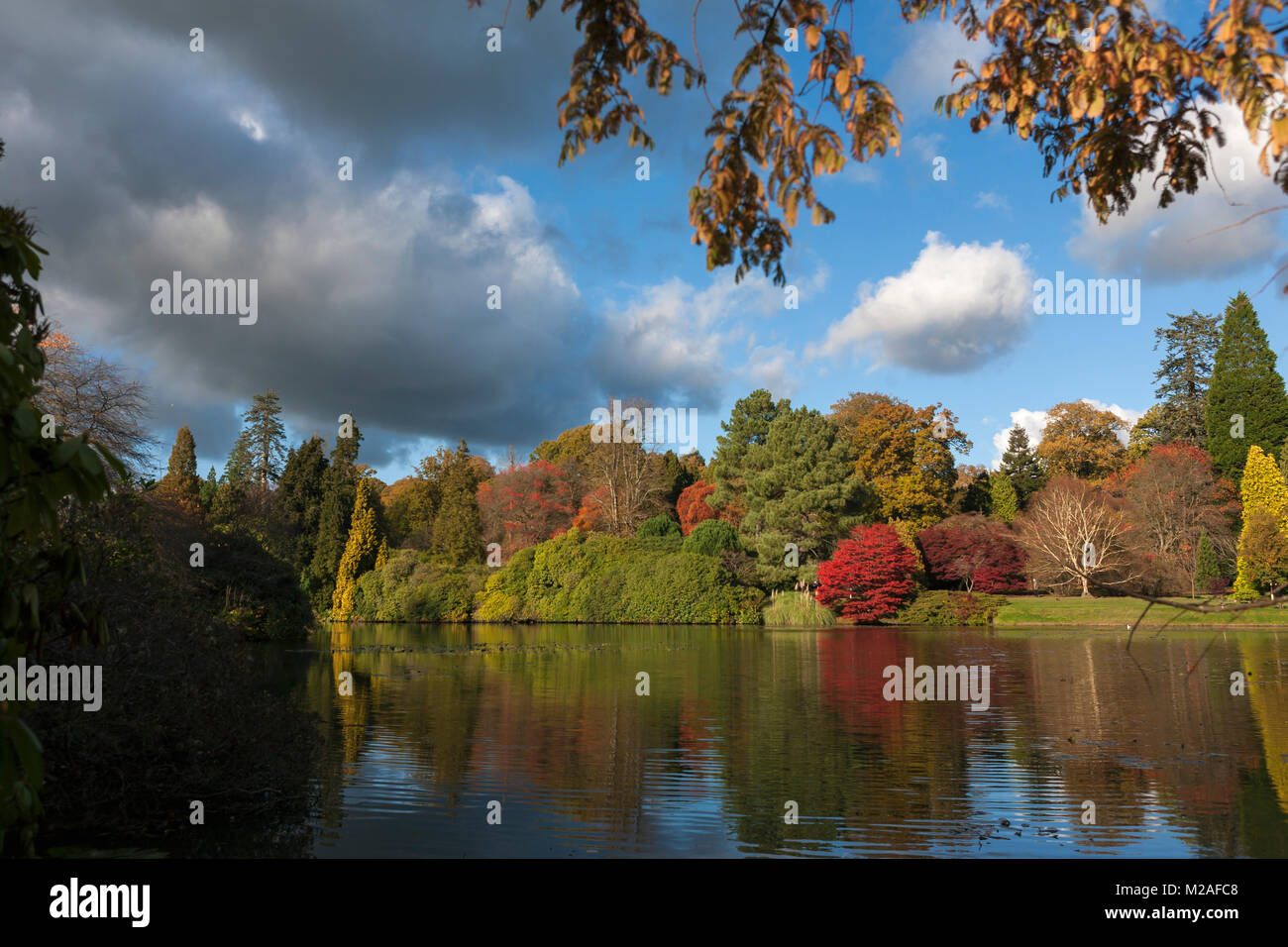 Middle Lake, or Second Lake, Sheffield Park, Uckfield, East Sussex