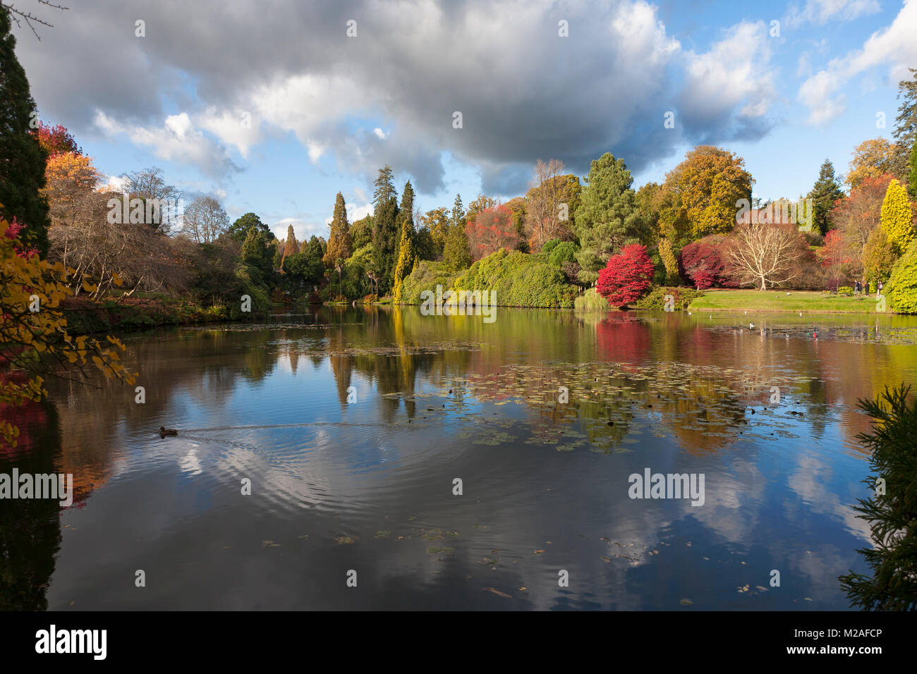 Middle Lake, or Second Lake, Sheffield Park, Uckfield, East Sussex