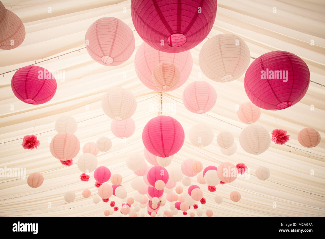 Pink paper lanterns hanging in marquee, low angle view Stock Photo
