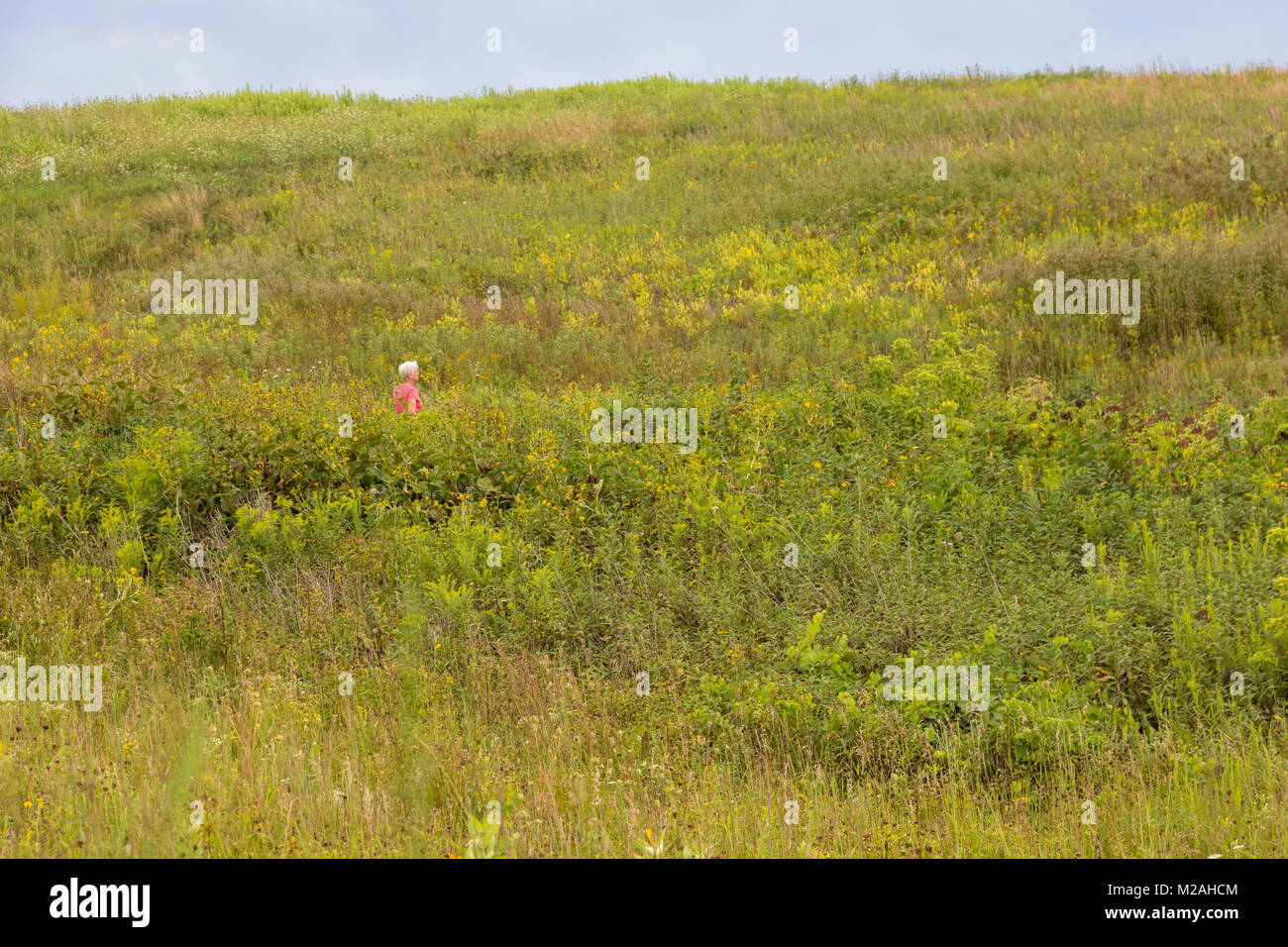 Prairie City, Iowa Susan Newell hikes in the Neal Smith National