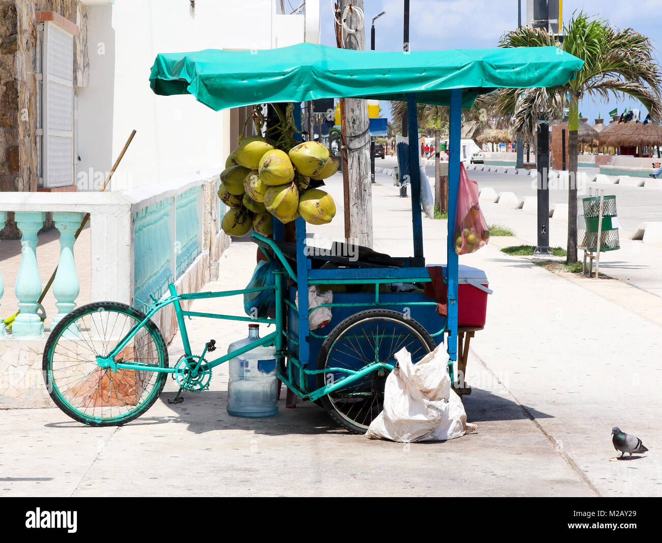 Mexican  3-wheel cargo bike street vendor in Progresso Yucatan with coconuts hanging from it and palm trees in the background Stock Photo