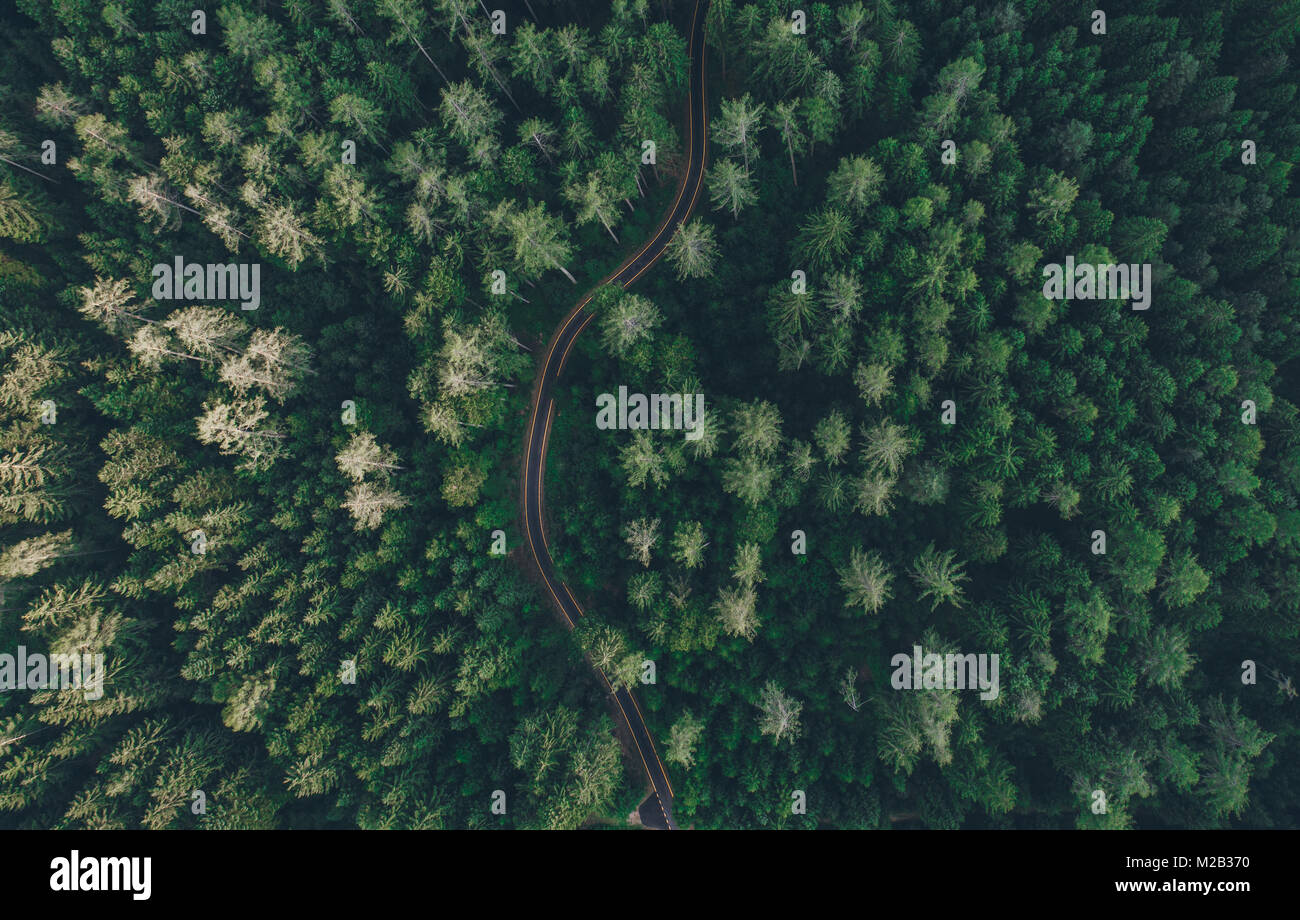 Aerial view of a road in the middle of the forest Stock Photo - Alamy
