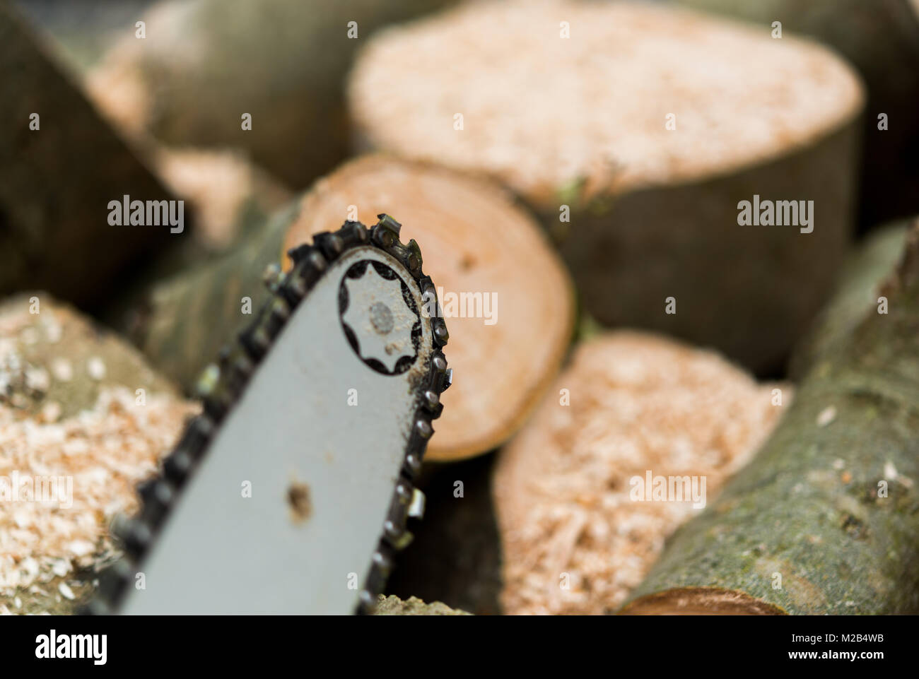 Wood cutting  using chainsaw. Stock Photo