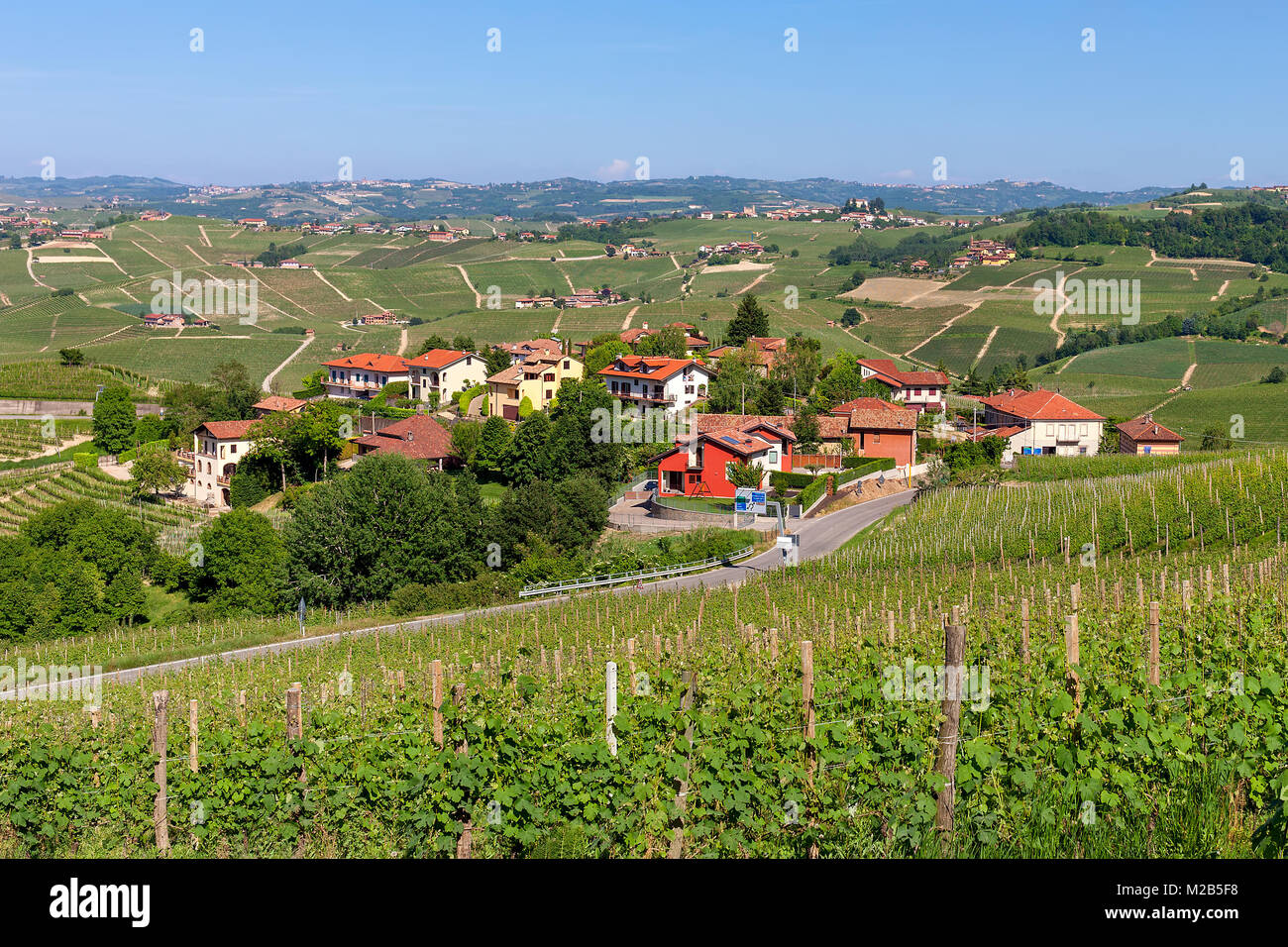 View of green vineyards and small village on background near Barolo, Piedmont, Northern Italy. Stock Photo