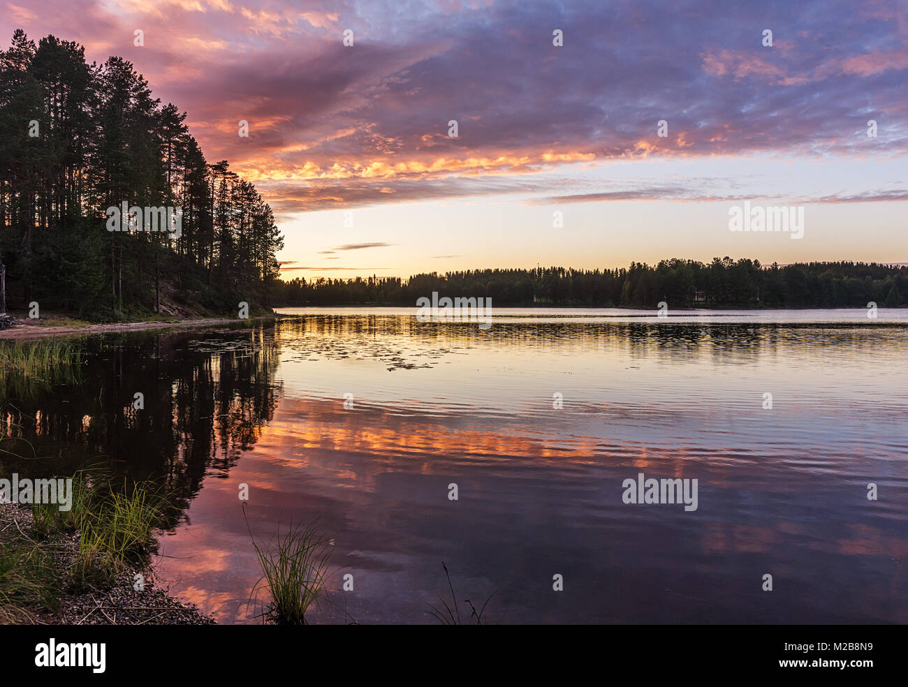 Reflection of trees at colorful sunset in the lake Stock Photo - Alamy
