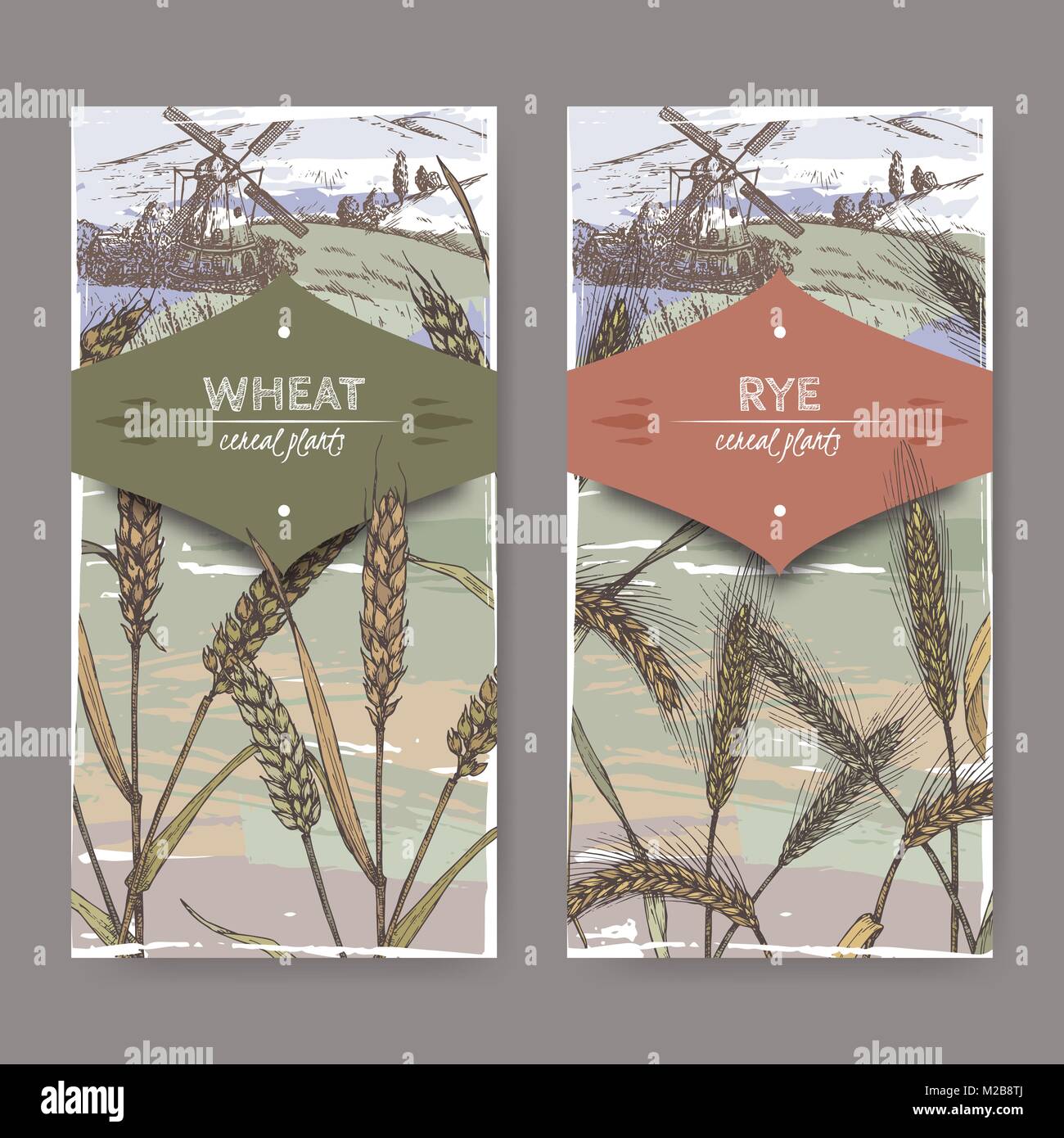 Set of two color labels with bread wheat and rye sketch. Cereal plants collection. Stock Vector
