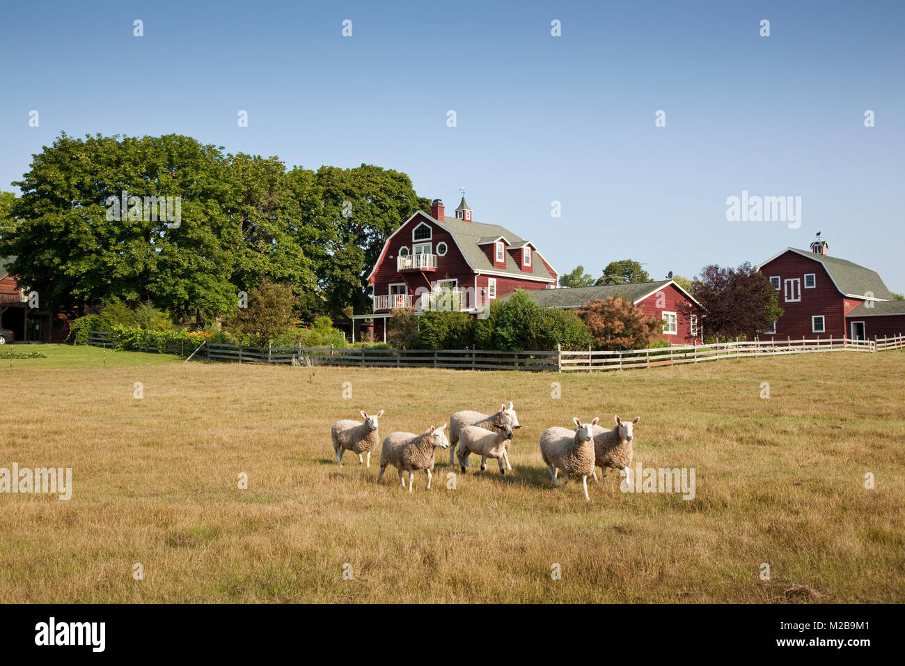 Door County Wisconsin Farm Stock Photos Door County Wisconsin