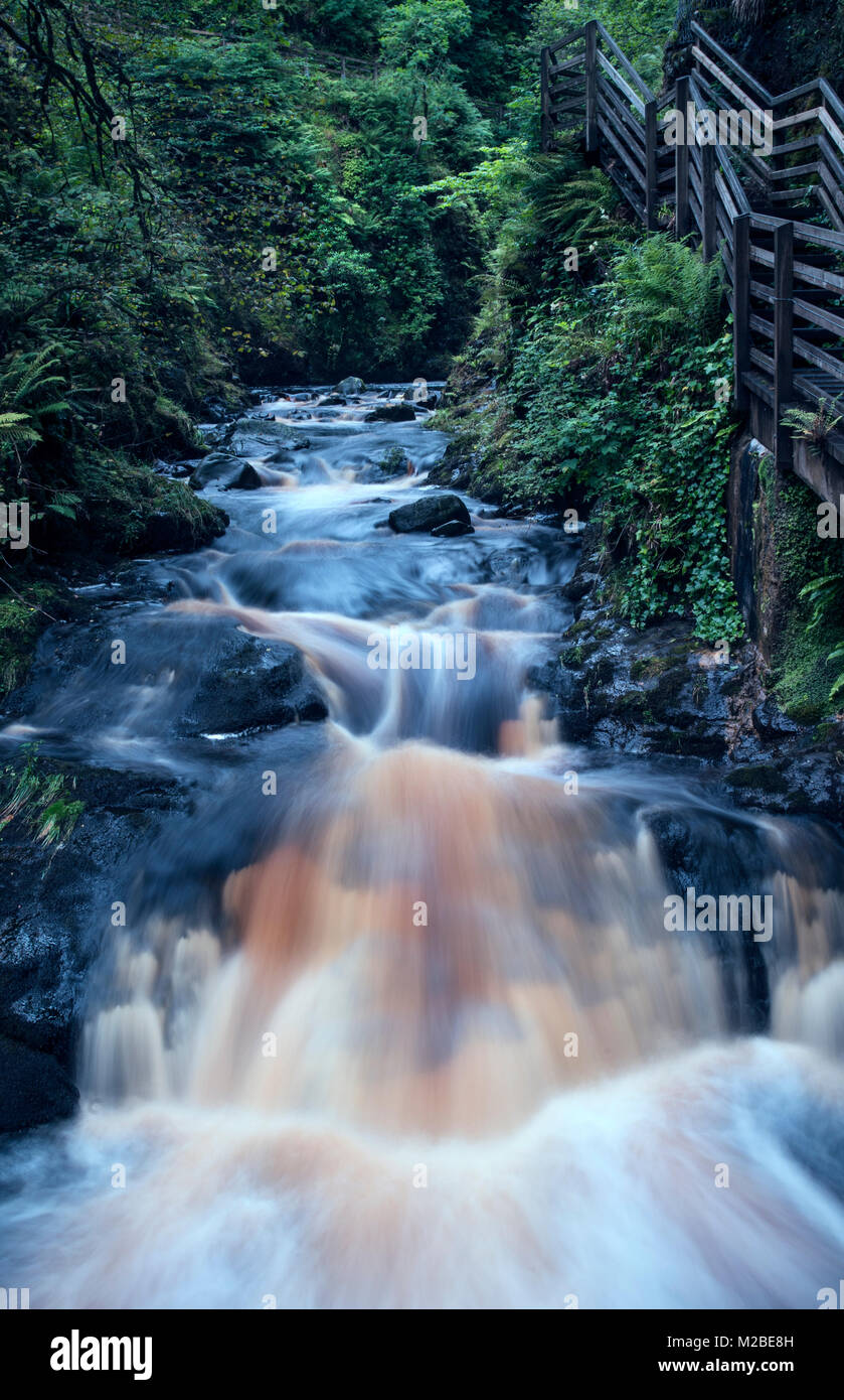 Waterfall in Glenariff Forest Park, County Antrim, Northern Ireland Stock Photo