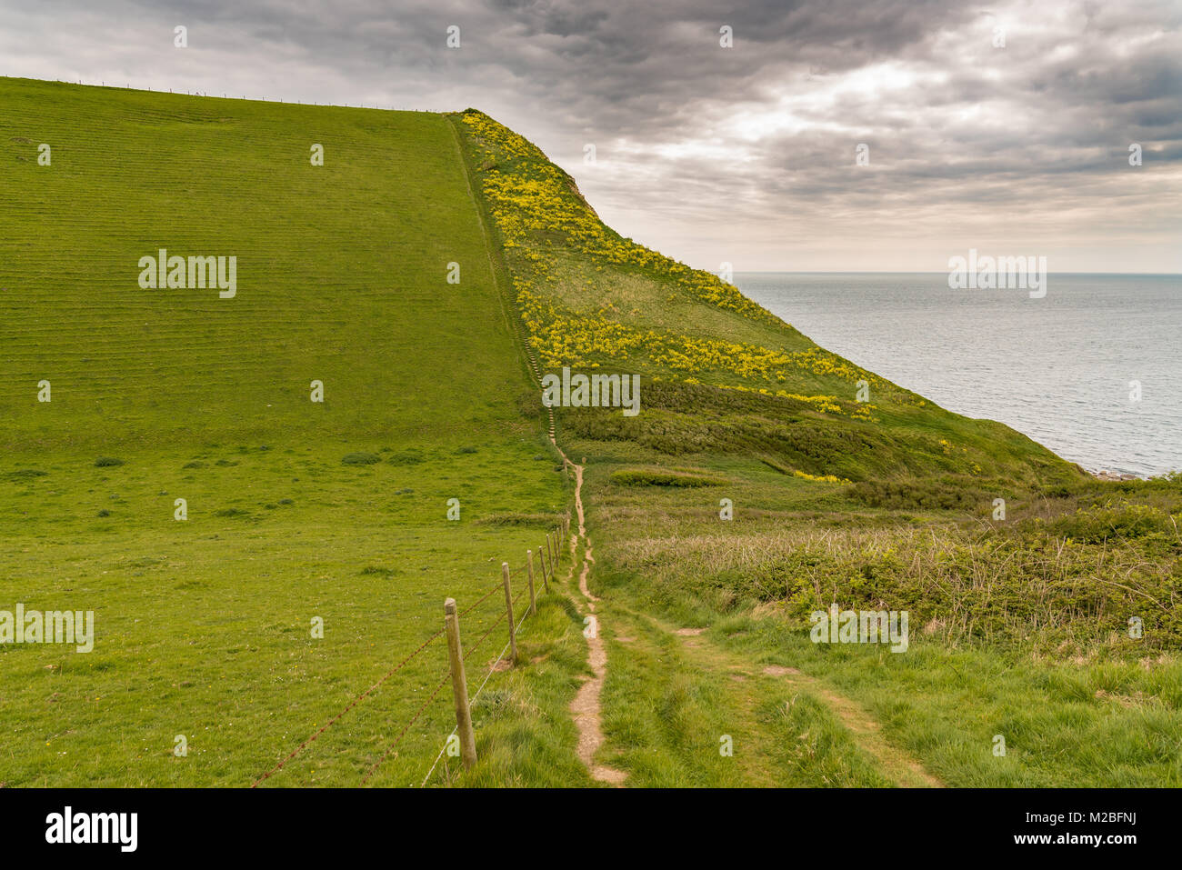 Walking down Emmett's Hill on the South West Coast Path, Jurassic Coast, Dorset, UK Stock Photo