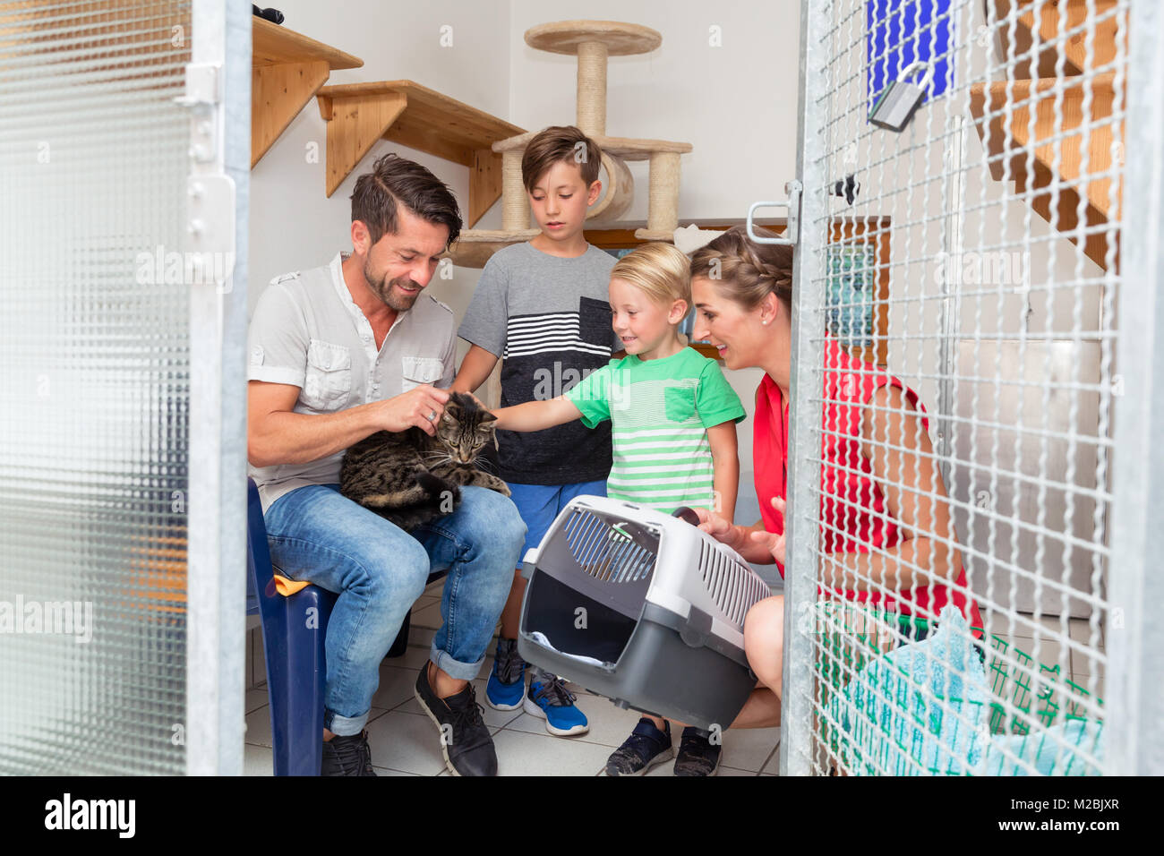 Family adopting cat from animal shelter taking her home Stock Photo Alamy