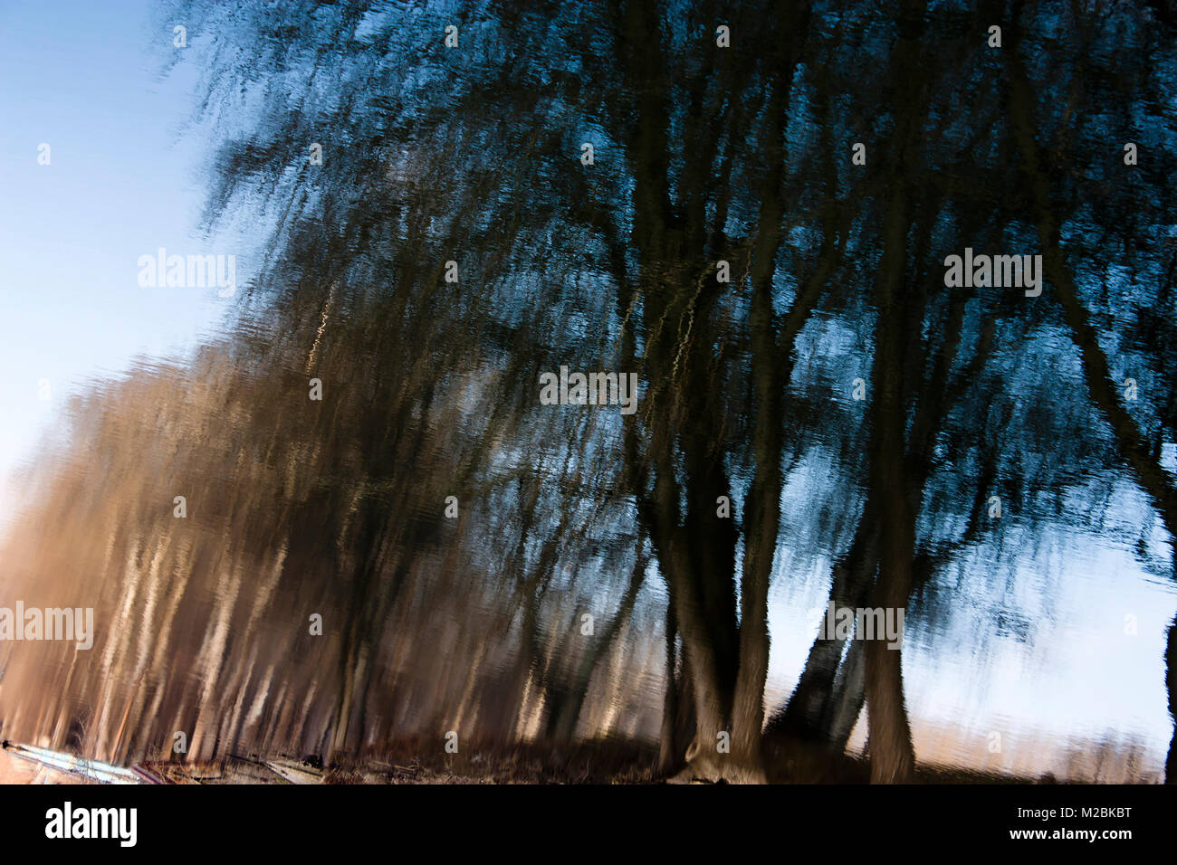 Blurry nature, trees reflected in river waters Stock Photo